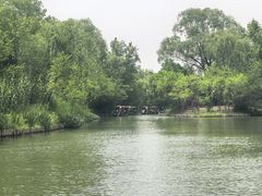 -溱湖国家湿地公园