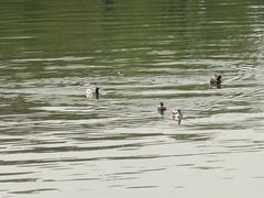 -迎泽公园