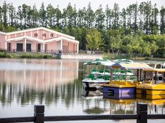 -上海长兴岛郊野公园