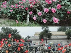 -清华大学艺术博物馆