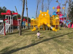 -合肥滨湖国家森林公园