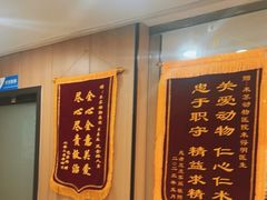 -米苏动物医院·犬猫专科·骨科外科内窥镜