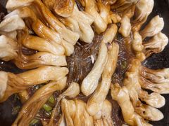 -华盛园卷子王农家菜水库鱼