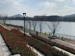-羊山湖公园