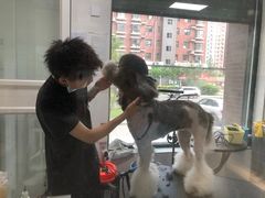 -宠颐生动物医院·心脏科·保险定点(锦阳分院)