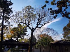 -拙政园