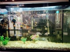 -万景饭店·鱼街农家菜