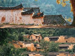 -杨家堂村