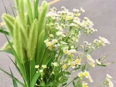 -串小白烧烤(金沙洲店)