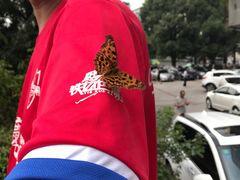 -吴记迎风楼北渡鱼