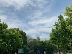 -吴淞炮台湾湿地森林公园烧烤区
