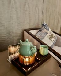 -VELEE·SPA高定疗愈会所