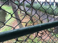 -三水森林公园