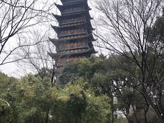 -常熟方塔园