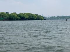 -西湖游船