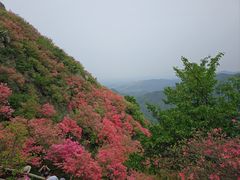 -木兰云雾山