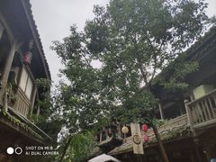 -黄龙溪欢乐田园