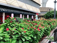 -蛙小侠(珠海华发商都店)