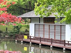 -新洲生态园