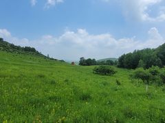 -塞罕坝国家级自然保护区