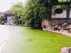 -莲湖公园