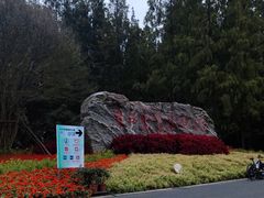 -东平国家森林公园
