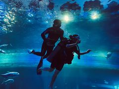 -华夏文旅海洋公园