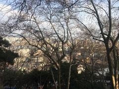-吴山景区
