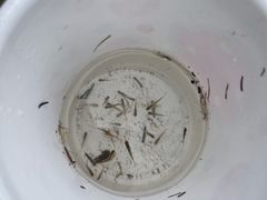 -沐仙湖湿地公园