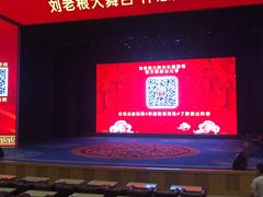 -刘老根大舞台-长春旗舰店