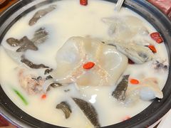 -潇湘甲鱼村(清河店)
