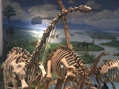 -自贡恐龙博物馆