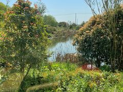 -桃花岛景观公园