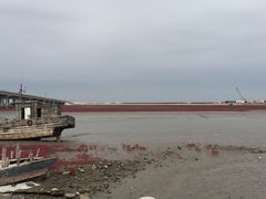 -红海滩国家风景廊道