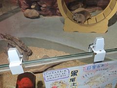 -正佳雨林生态植物园