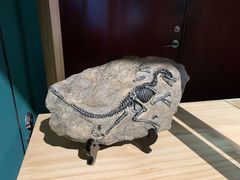 -湖南省地质博物馆