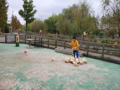 -前小桔亲子创意农场·草莓采摘·露营烧烤