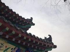 -长春市南湖公园