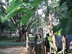 -越南民族学博物馆