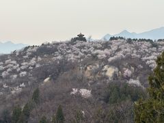 -白水寺森林公园