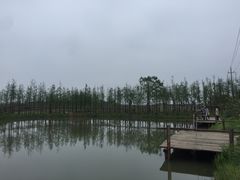 -乌村