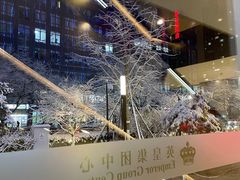 -英皇电影城(英皇集团中心IMAX店)