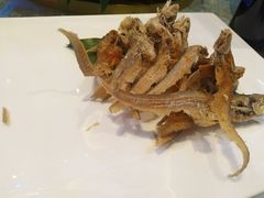 -青花餐厅(雅谷泉山庄酒店)