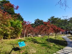 -广州市帽峰山景区
