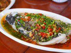 -品雅轩农家乐