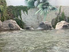 -东方威尼斯温泉酒店