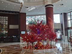 -上海圣淘沙万怡酒店