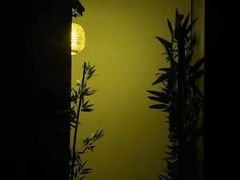 -间隔密室逃脱
