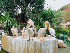 -灵玲国际马戏城