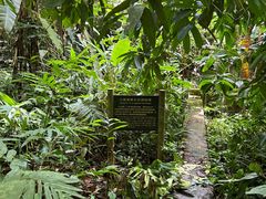 -中国科学院西双版纳热带植物园